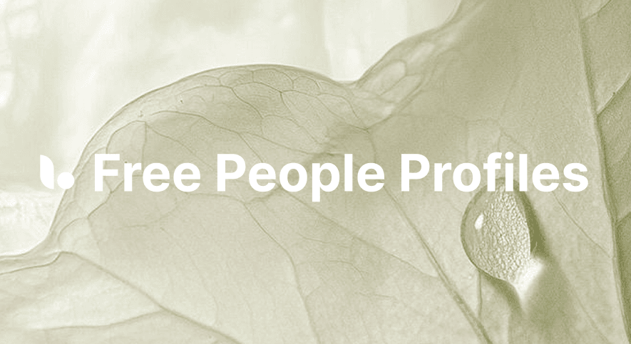 Unlock People Profiles for Free: How Lessie AI Simplifies Networking